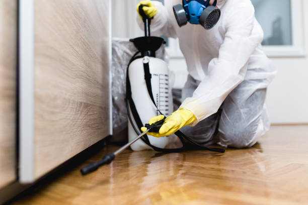 Best Affordable Pest Control Services  in Trempealeau, WI