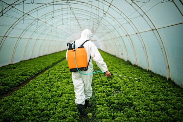 Best Best Pest Control Companies  in Trempealeau, WI