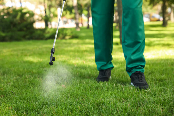 Wasp Removal Services in Trempealeau, WI