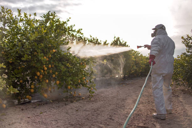 Best Termite Control Services  in Trempealeau, WI