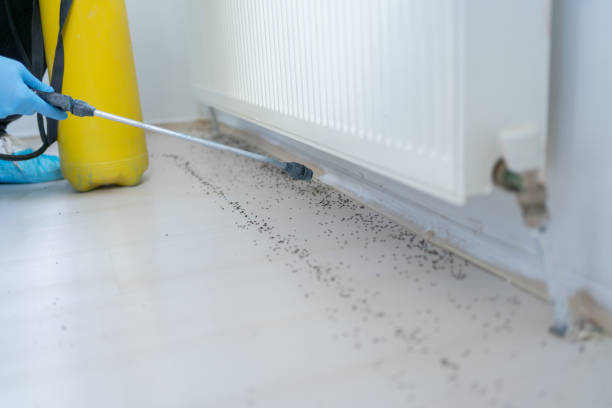 Best Local Pest Control Services  in Trempealeau, WI